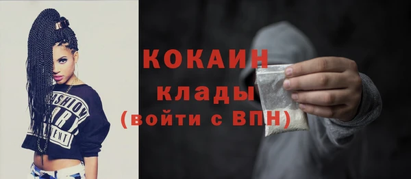 стафф Арсеньев